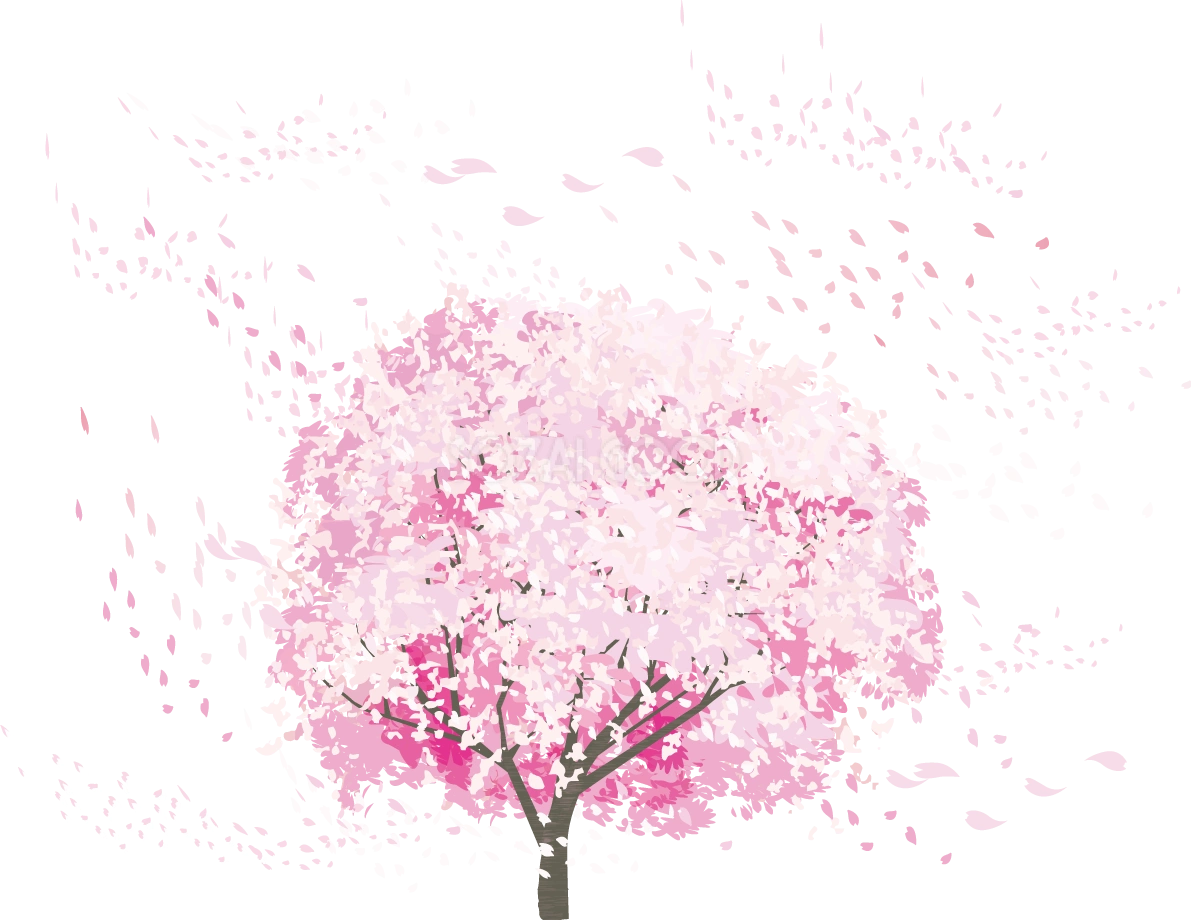 一本のリアル桜の木から風で舞う花びら透過イラスト背景なし無料 フリー83080