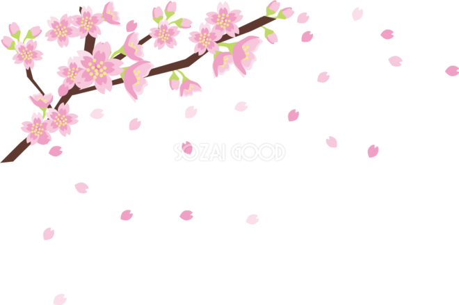 桜の枝イラスト 無料 フリー 素材good