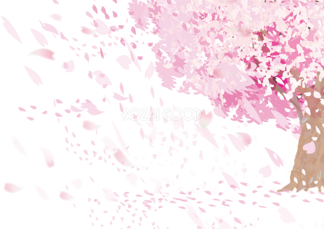 桜の木と桜吹雪 透過の花びらイラスト 背景なし無料 フリー092 素材good