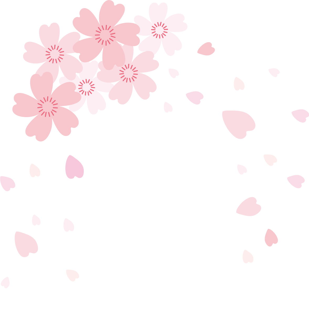 桜飾りの可愛い花びら透過イラスト背景なし無料 フリー83096に写真・文字を入れる