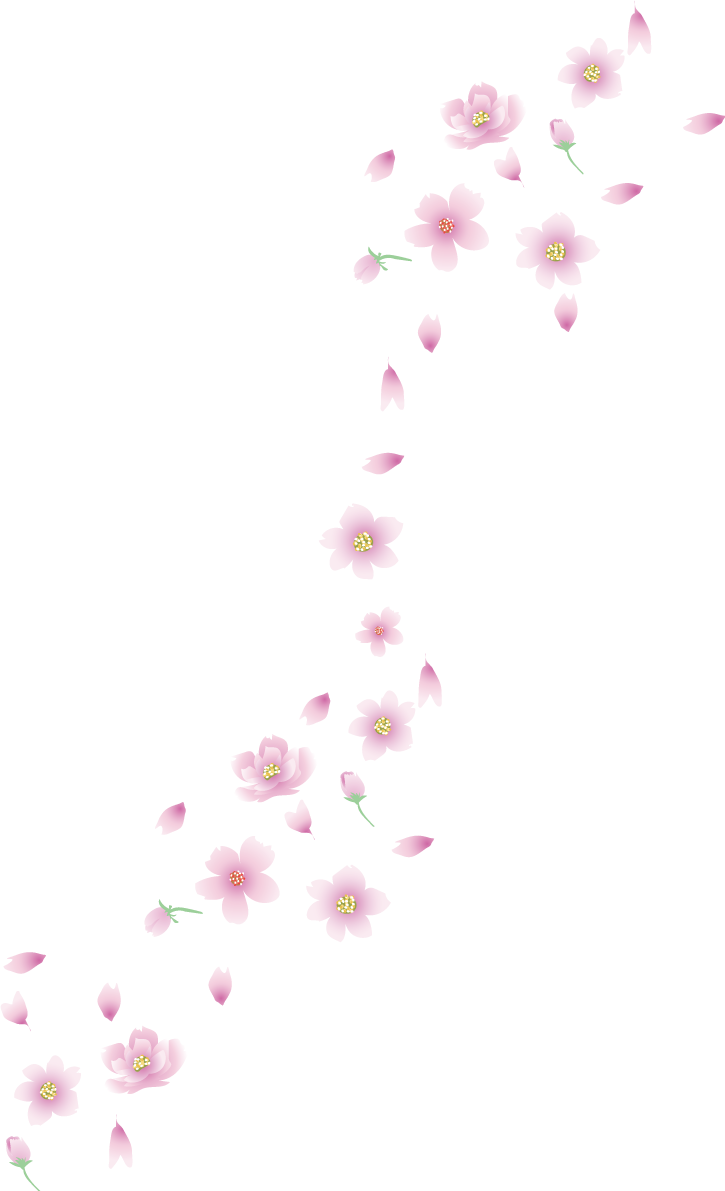 上品に舞う桜の花びらイラスト 無料 フリー83098に写真・文字を入れる