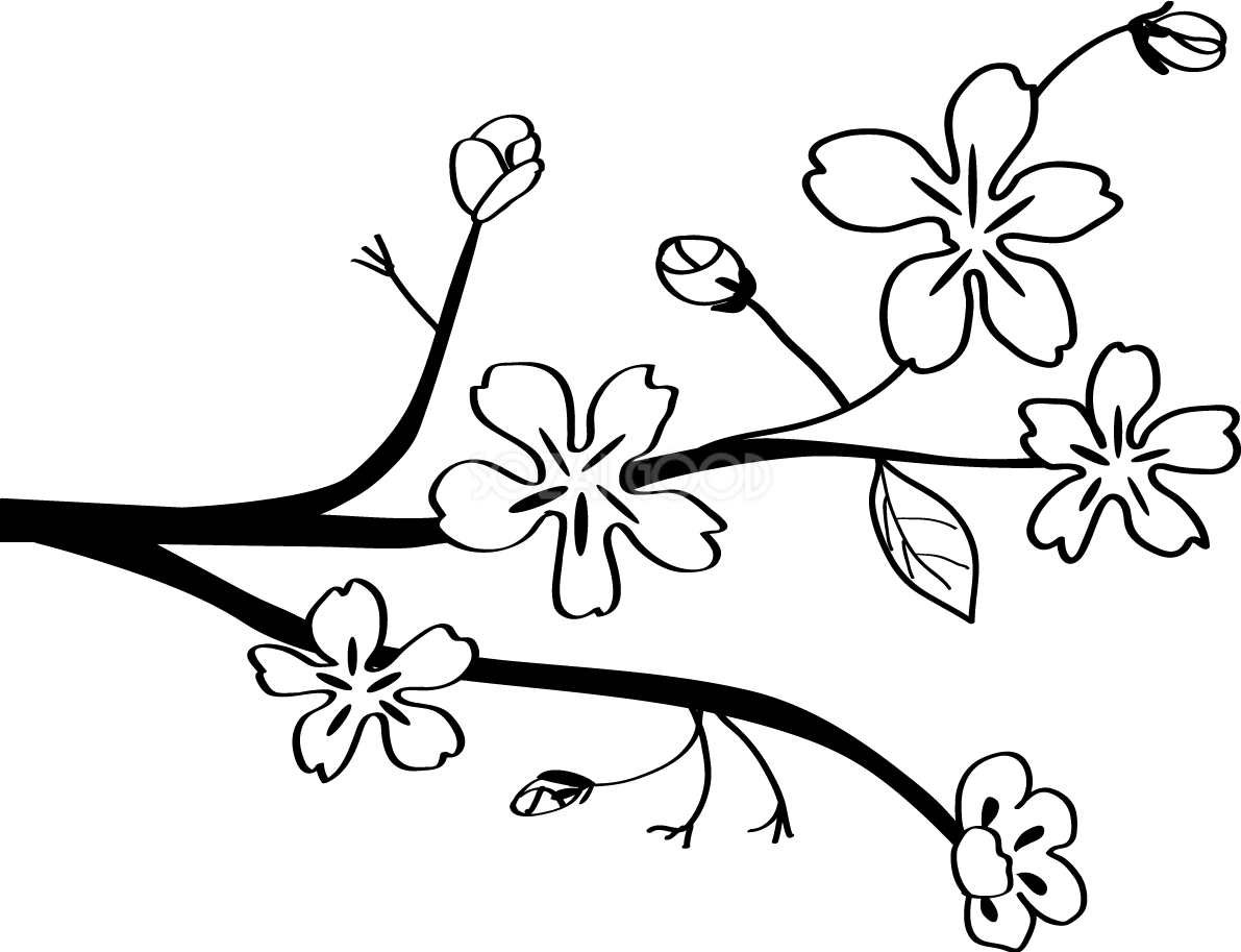 かわいい桜 春の花 白黒イラスト(シンプル和風)83138