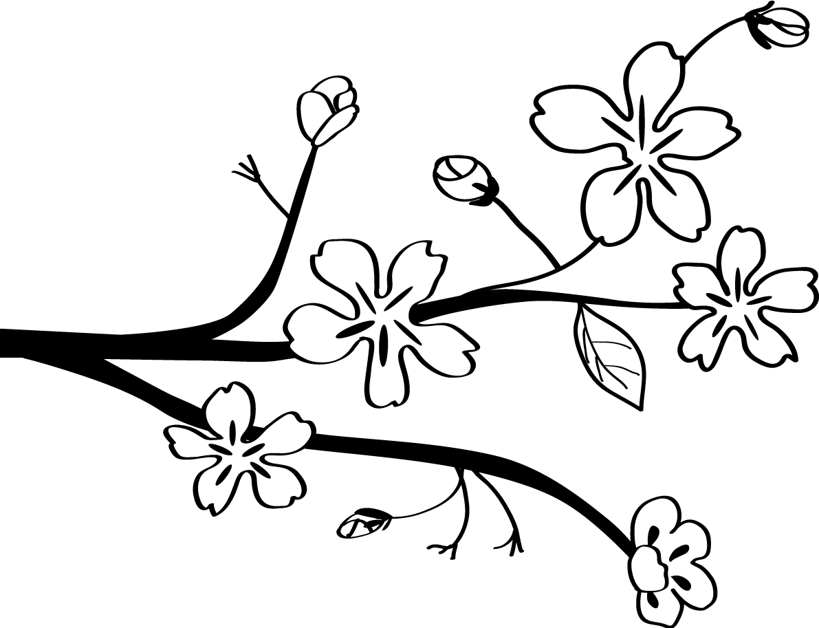 かわいい桜 春の花 白黒イラスト(シンプル和風)83138に写真・文字を入れる