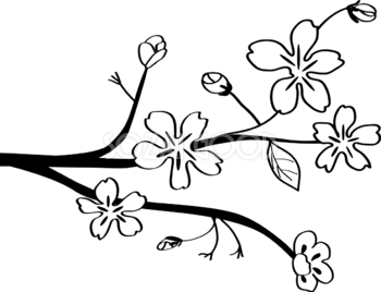かわいい桜 春の花 白黒イラスト(シンプル和風)83138