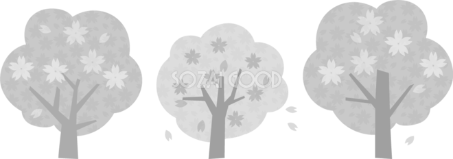グレースケールの３本並ぶ可愛い桜の木 白黒イラスト83142 素材good
