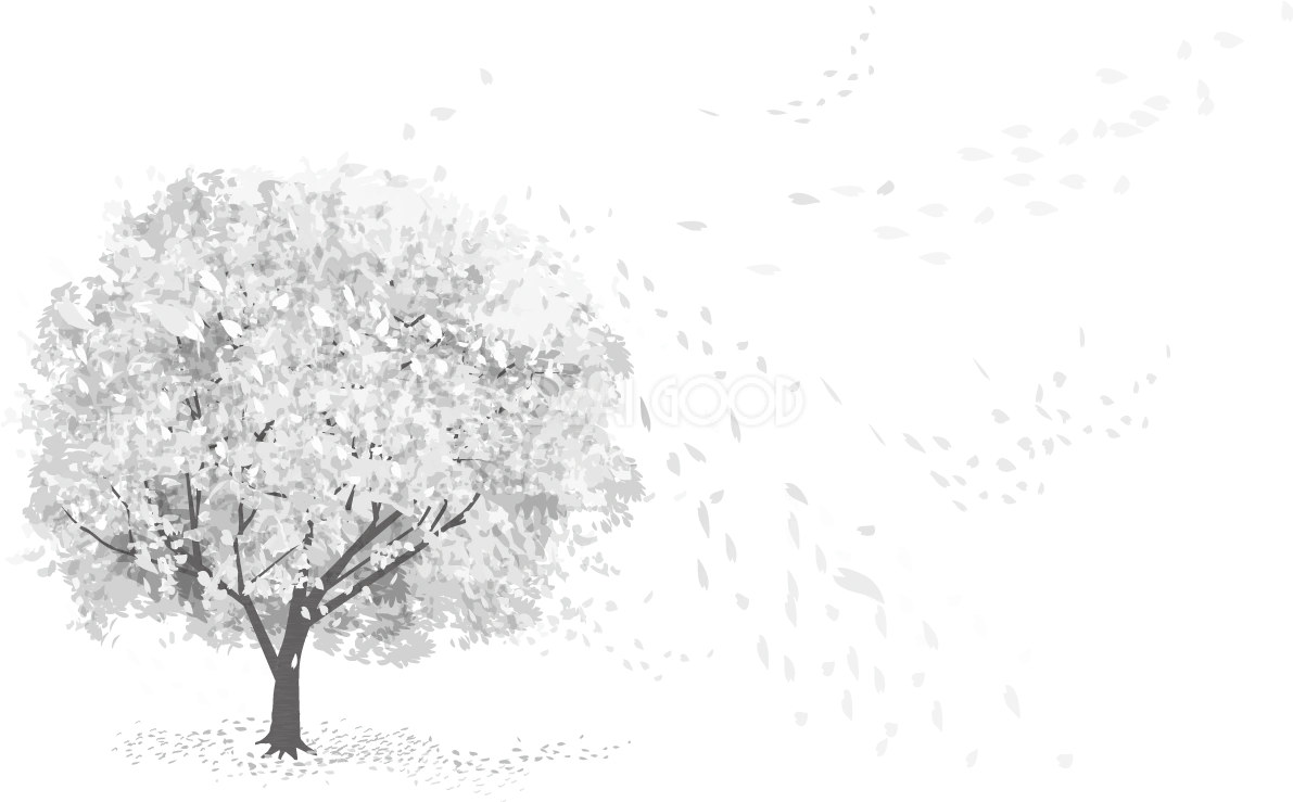 グレースケールの一本の桜の木から風で舞う花びら透過 白黒イラスト83150