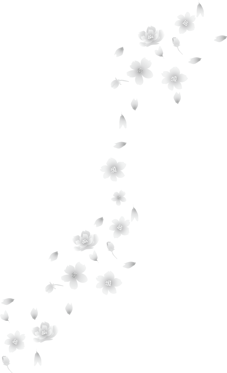 グレースケールの上品に舞う桜の花びら 白黒イラスト83161に写真・文字を入れる