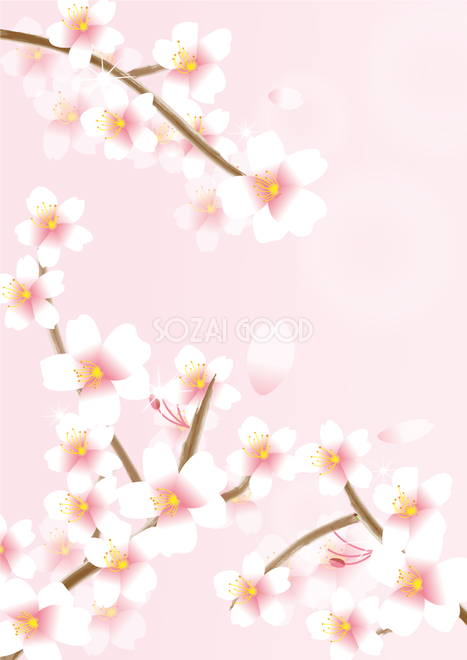 縦の立体的な桜の枝と花背景フリー無料イラスト画像223 素材good