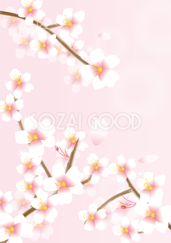 縦の立体的な桜の枝と花背景フリー無料イラスト画像83223