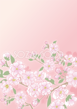縦の和風(八重桜)背景フリー無料イラスト画像83226