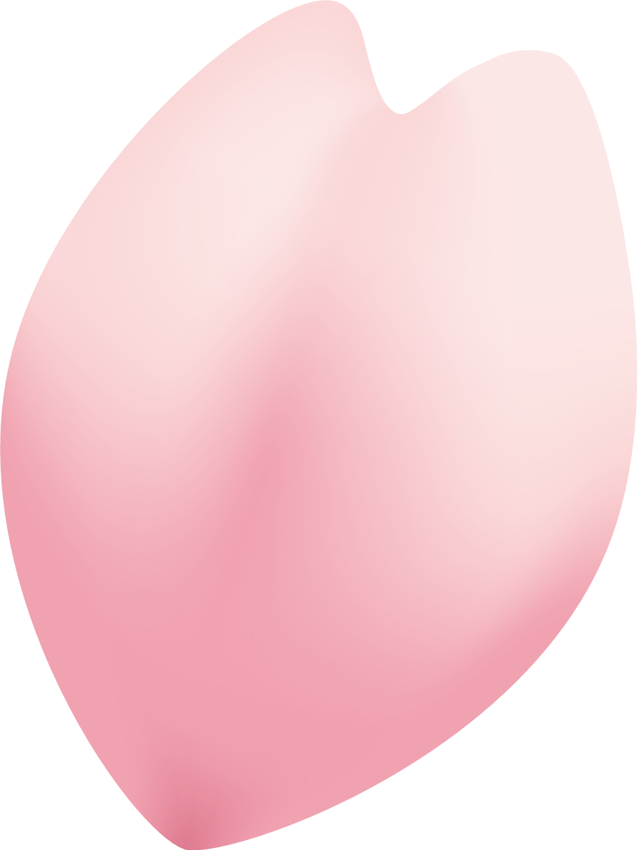 ふっくら立体的な桜の花びら一枚の無料背景無し透過フリーイラスト83230に写真・文字を入れる