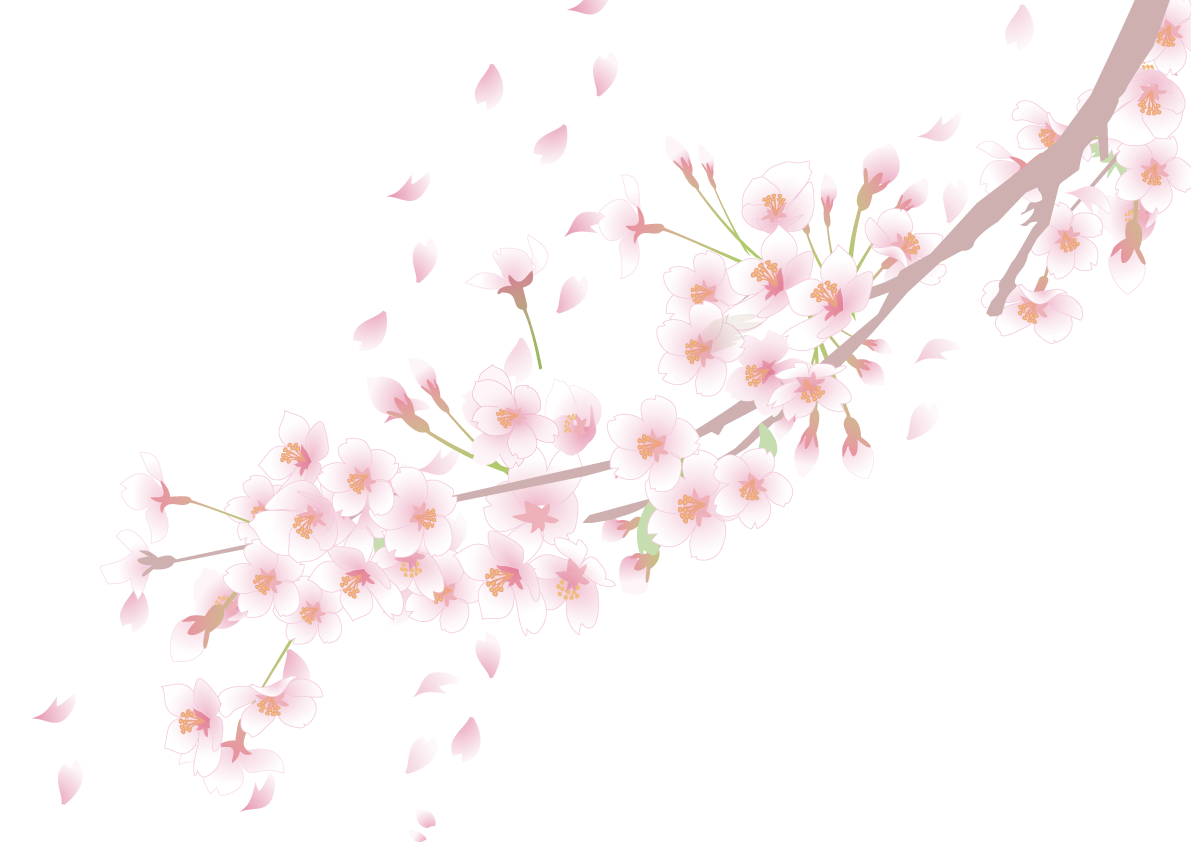 右上から左下に伸びる桜(木の枝 花びら 蕾)背景無し透過フリーイラスト83231に写真・文字を入れる