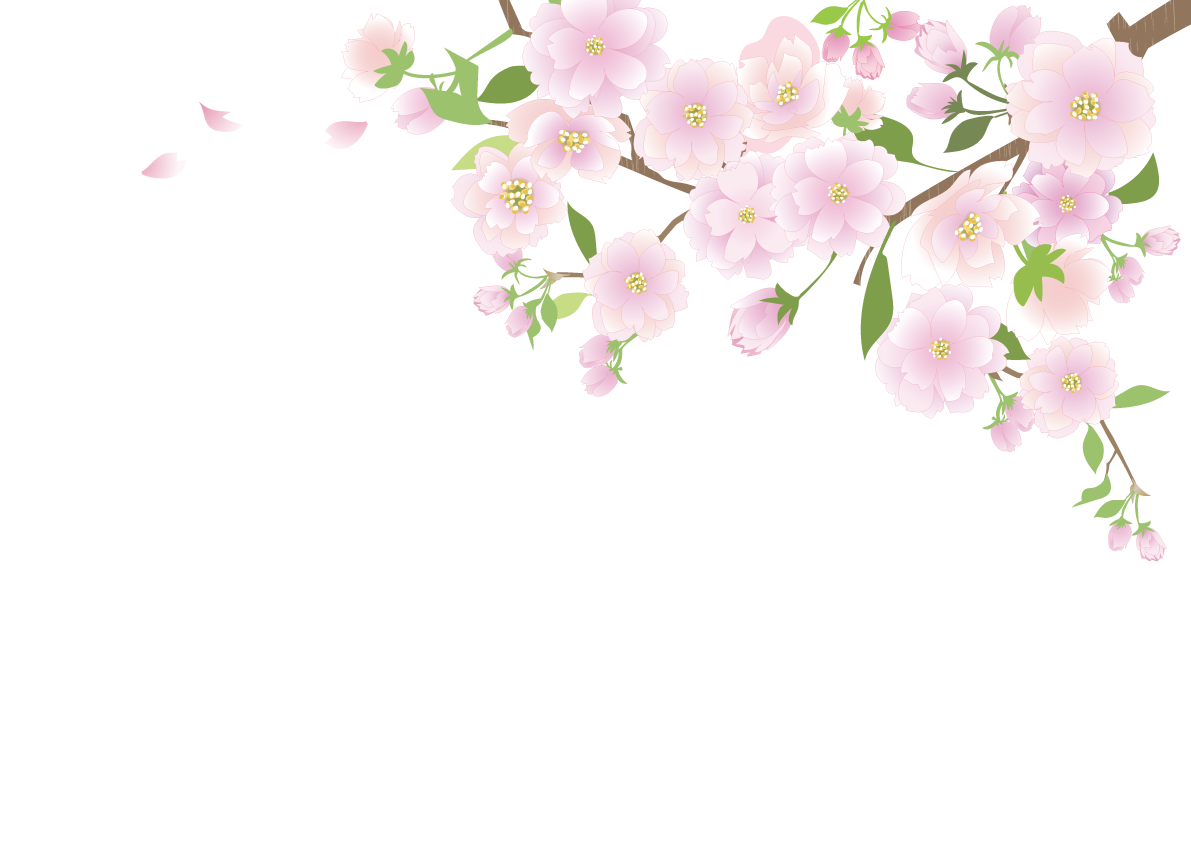 右上から伸びる可愛い桜(木の枝 花びら 蕾)背景無し透過フリーイラスト83233に写真・文字を入れる