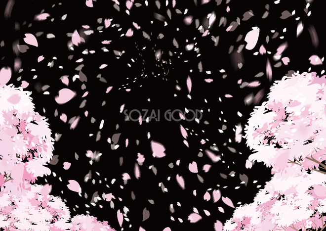 夜桜の黒背景にピンクの桜の花びらが風で舞うフリー無料イラスト83242