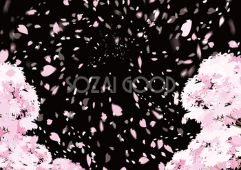 夜桜の黒背景にピンクの桜の花びらが風で舞うフリー無料イラスト83242