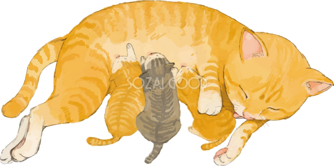 トラ柄の雑種ミックス子猫の世話をする母猫リアル無料フリーイラスト243 素材good