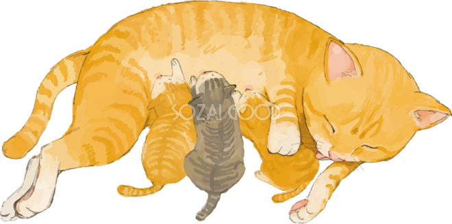 トップ100 子猫 イラスト リアル 最高の動物画像