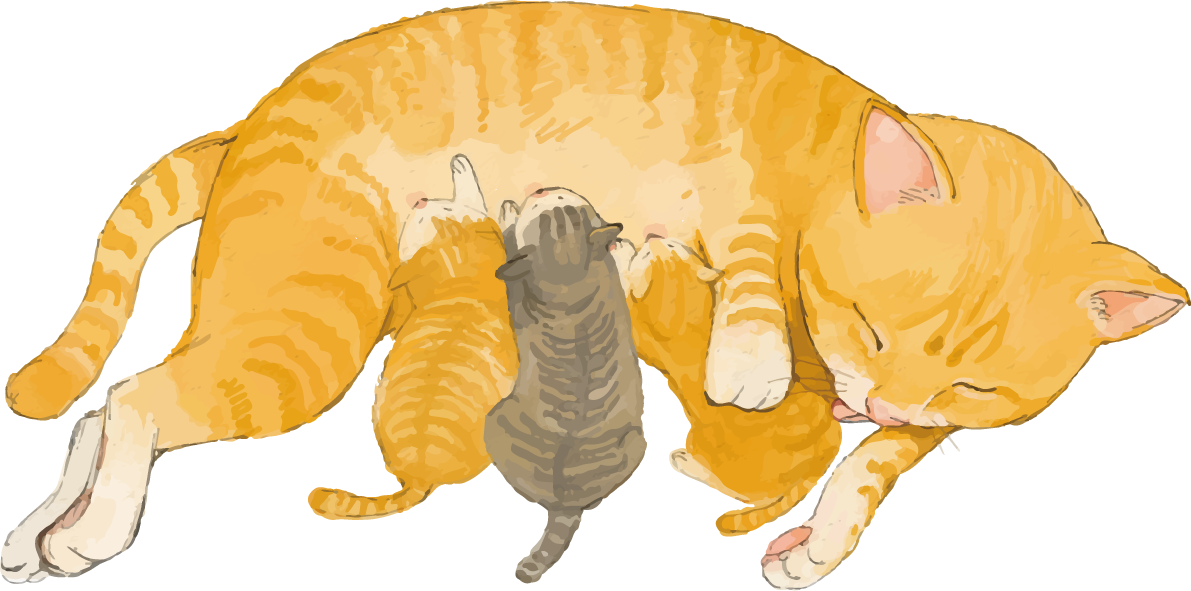 トラ柄の雑種ミックス子猫の世話をする母猫リアル無料フリーイラスト83243に写真・文字を入れる