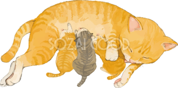 トラ柄の雑種ミックス子猫の世話をする母猫リアル無料フリーイラスト83243