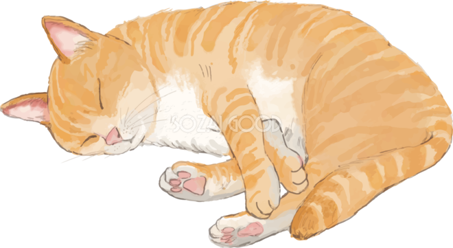 猫 トラ柄の雑種ミックス いびきをかいて寝るリアル無料フリーイラスト245 素材good