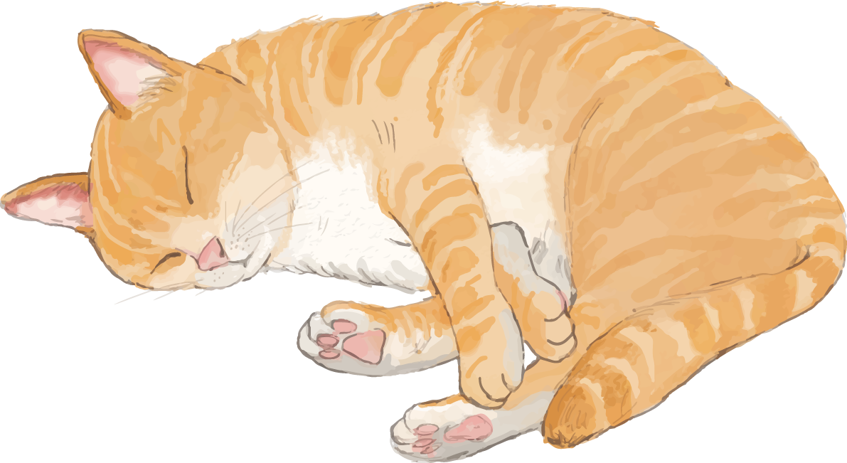 猫(トラ柄の雑種ミックス)いびきをかいて寝るリアル無料フリーイラスト83245に写真・文字を入れる
