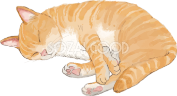 猫(トラ柄の雑種ミックス)いびきをかいて寝るリアル無料フリーイラスト83245
