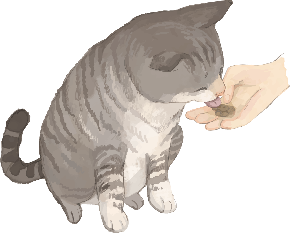 猫(トラ柄の雑種ミックス)おやつを食べるリアル無料フリーイラスト83247に写真・文字を入れる