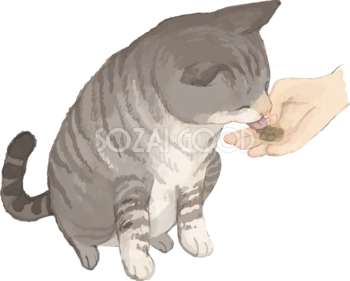 猫(トラ柄の雑種ミックス)おやつを食べるリアル無料フリーイラスト83247