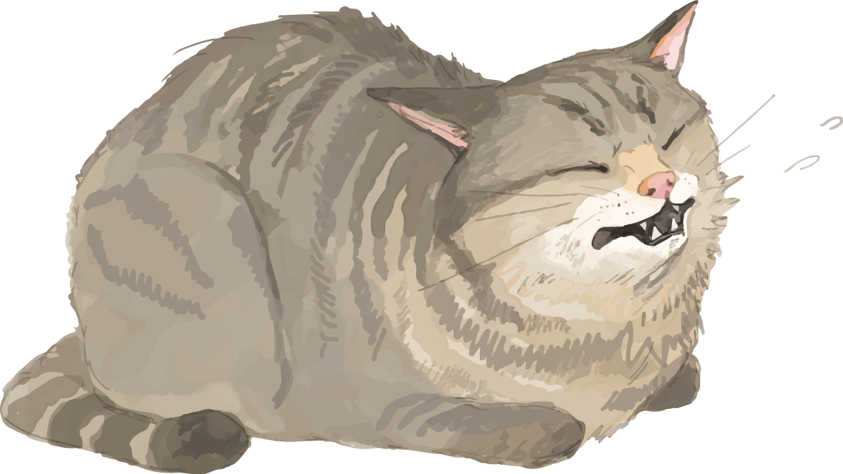 猫(トラ柄の雑種ミックス)くしゃみをするリアル無料フリーイラスト83248に写真・文字を入れる
