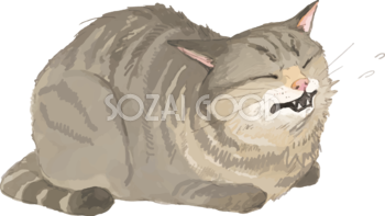 猫(トラ柄の雑種ミックス)くしゃみをするリアル無料フリーイラスト83248