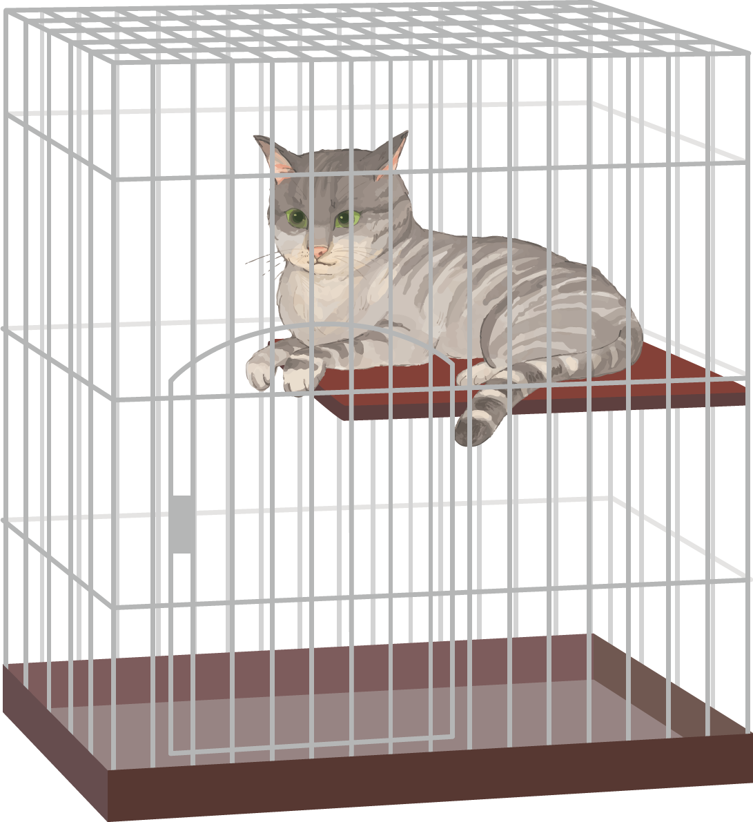 猫(トラ柄の雑種ミックス)ケージに入るリアル無料フリーイラスト83249に写真・文字を入れる
