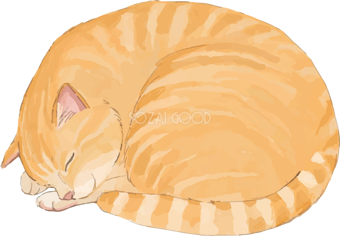猫(トラ柄の雑種ミックス)こたつで丸くなるリアル無料フリーイラスト83250