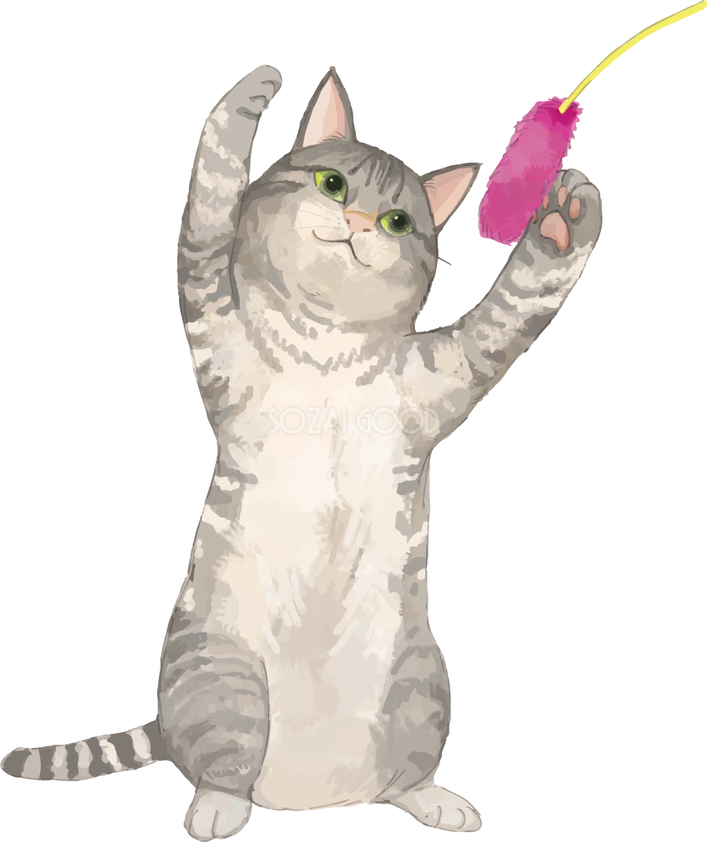 猫(トラ柄の雑種ミックス)じゃれるリアル無料フリーイラスト83252