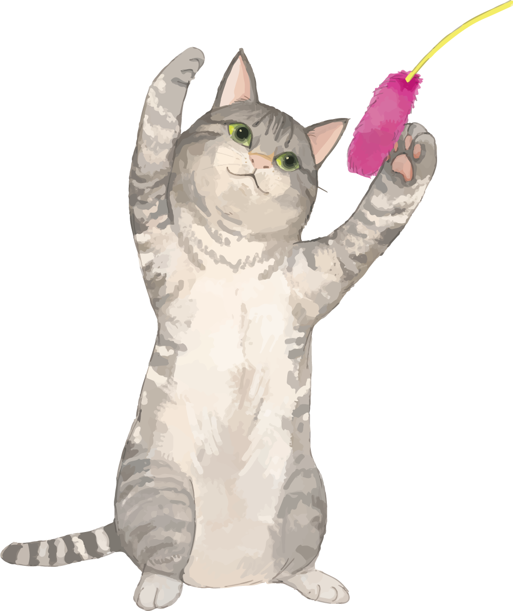猫(トラ柄の雑種ミックス)じゃれるリアル無料フリーイラスト83252に写真・文字を入れる