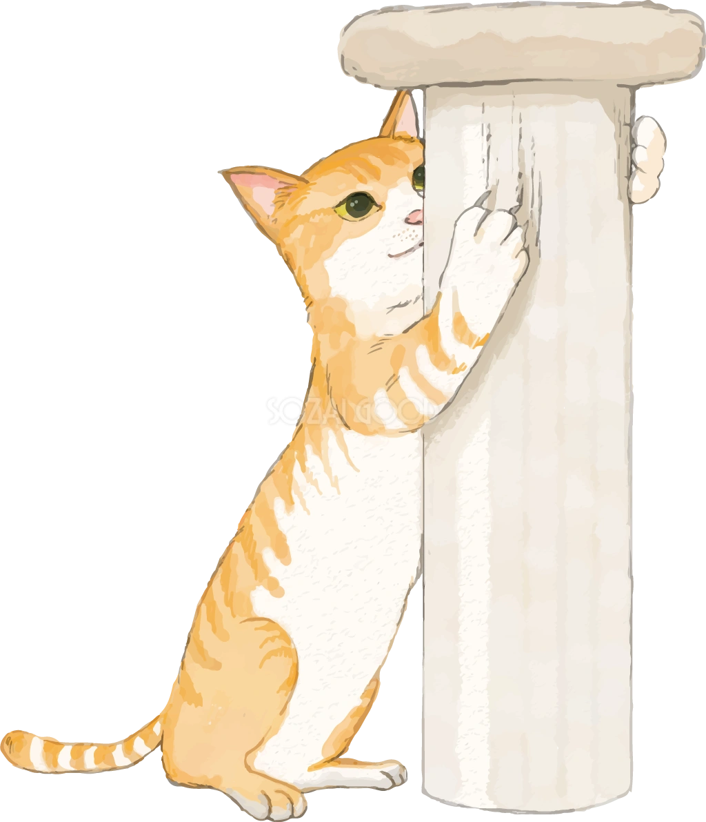猫(トラ柄の雑種ミックス)ストレス解消するリアル無料フリーイラスト83254