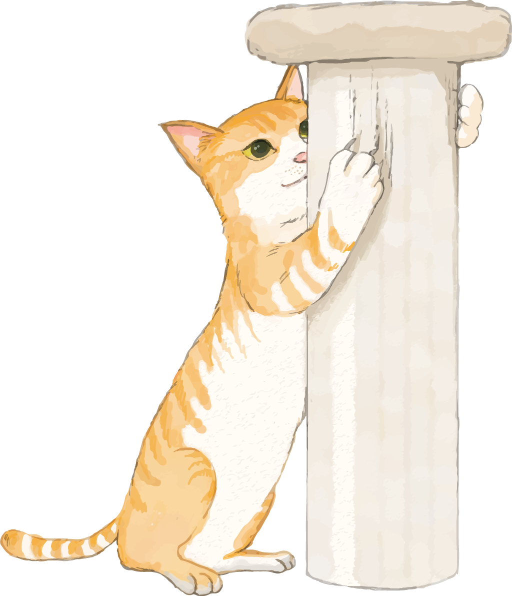 猫(トラ柄の雑種ミックス)ストレス解消するリアル無料フリーイラスト83254に写真・文字を入れる