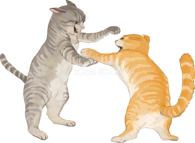 猫(トラ柄の雑種ミックス)喧嘩するリアル無料フリーイラスト83261 | 素材Good