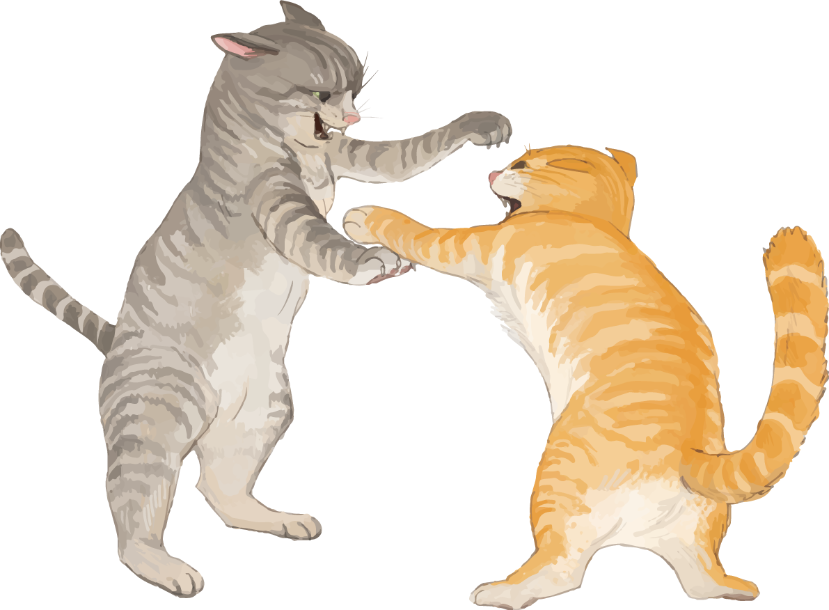 猫(トラ柄の雑種ミックス)喧嘩するリアル無料フリーイラスト83261に写真・文字を入れる