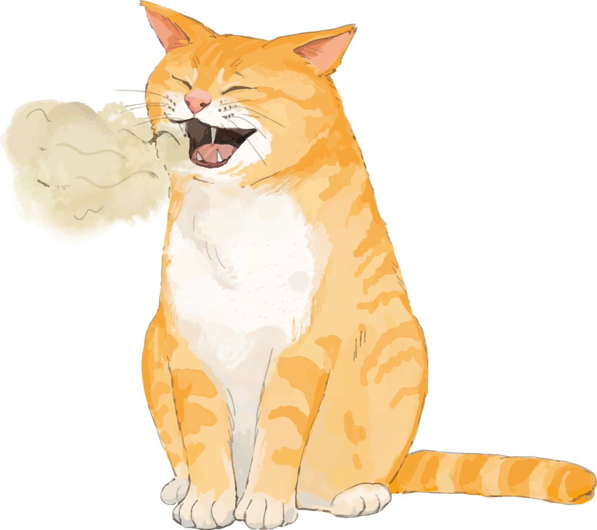 猫(トラ柄の雑種ミックス)口が臭いリアル無料フリーイラスト83262に写真・文字を入れる