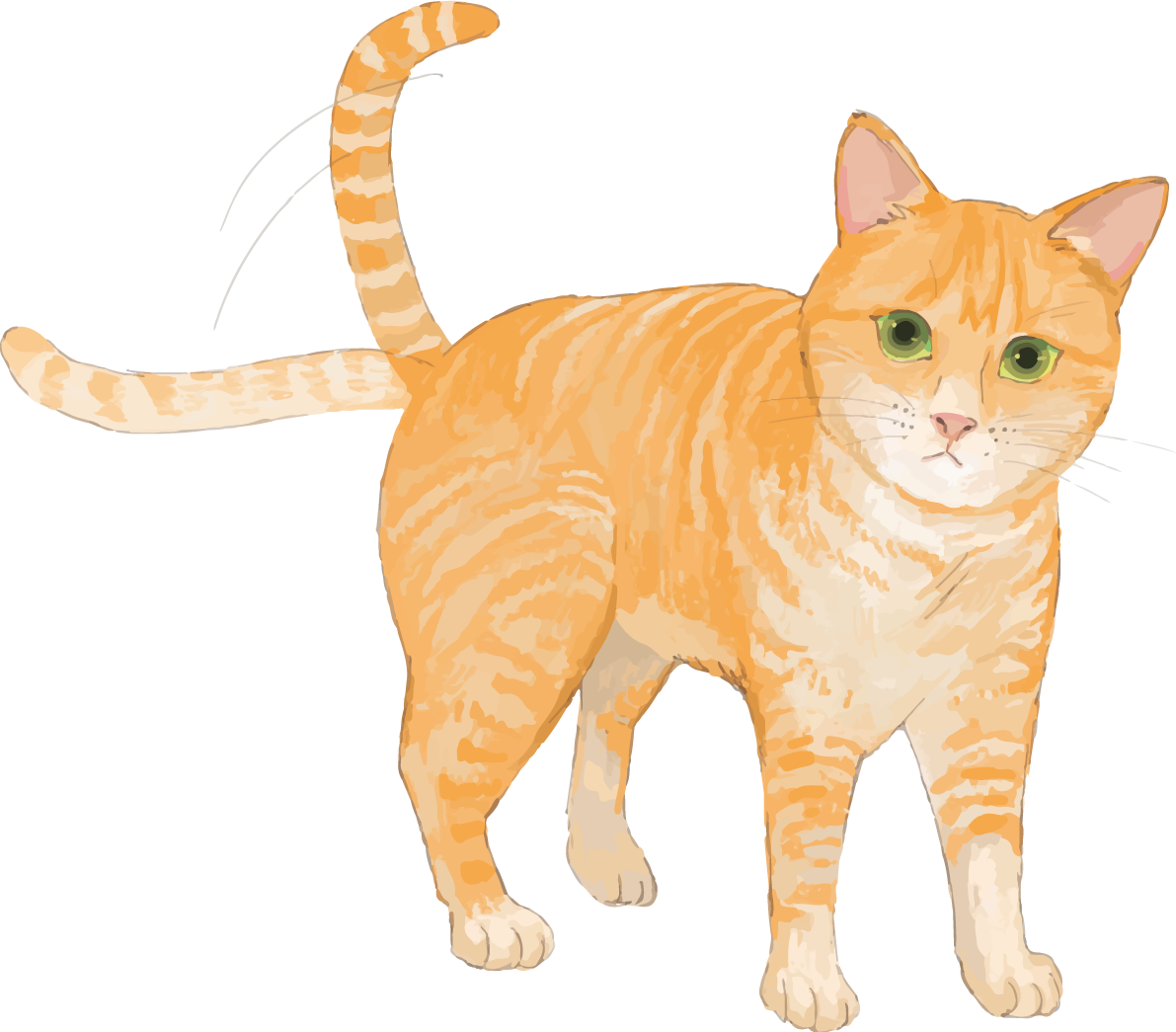 猫(トラ柄の雑種ミックス)左右しっぽ振るリアル無料フリーイラスト83264に写真・文字を入れる