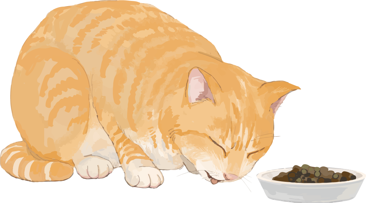 猫(トラ柄の雑種ミックス)食欲がないリアル無料フリーイラスト83267に写真・文字を入れる