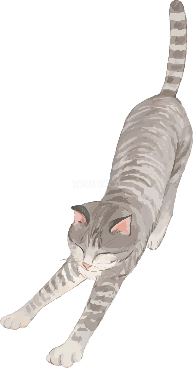 猫(トラ柄の雑種ミックス)伸びるリアル無料フリーイラスト83268