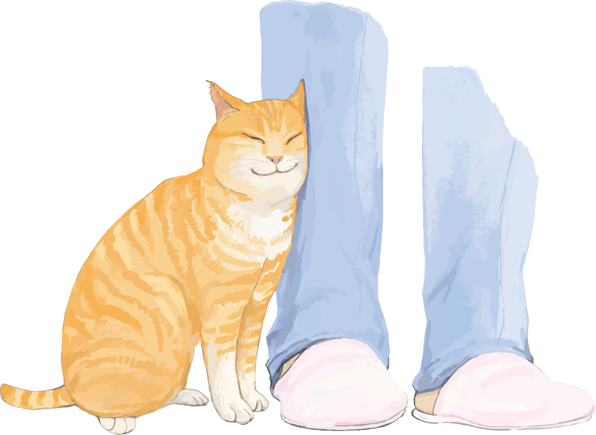 猫(トラ柄の雑種ミックス)足に体をこすりつけるリアル無料フリーイラスト83270に写真・文字を入れる