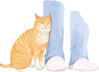 猫(トラ柄の雑種ミックス)足に体をこすりつけるリアル無料フリーイラスト83270