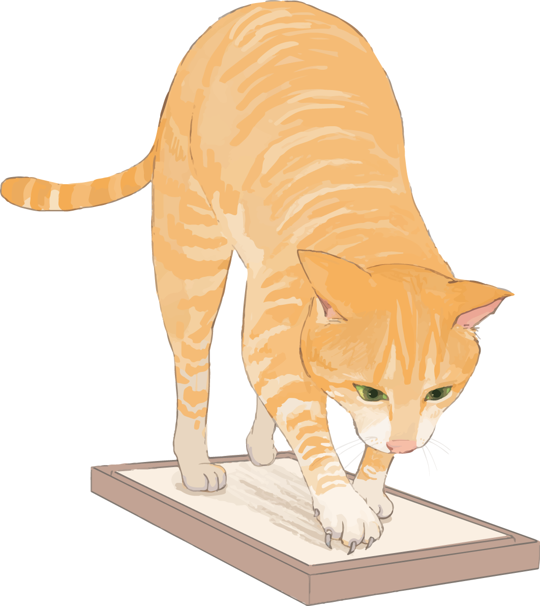 猫(トラ柄の雑種ミックス)爪とぎするリアル無料フリーイラスト83273に写真・文字を入れる