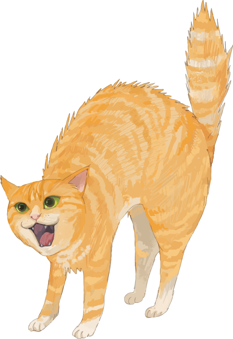 猫(トラ柄の雑種ミックス)怒る「シャー」リアル無料イラスト83275に写真・文字を入れる