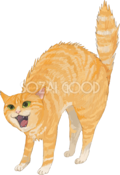猫(トラ柄の雑種ミックス)怒るリアル無料イラスト83275