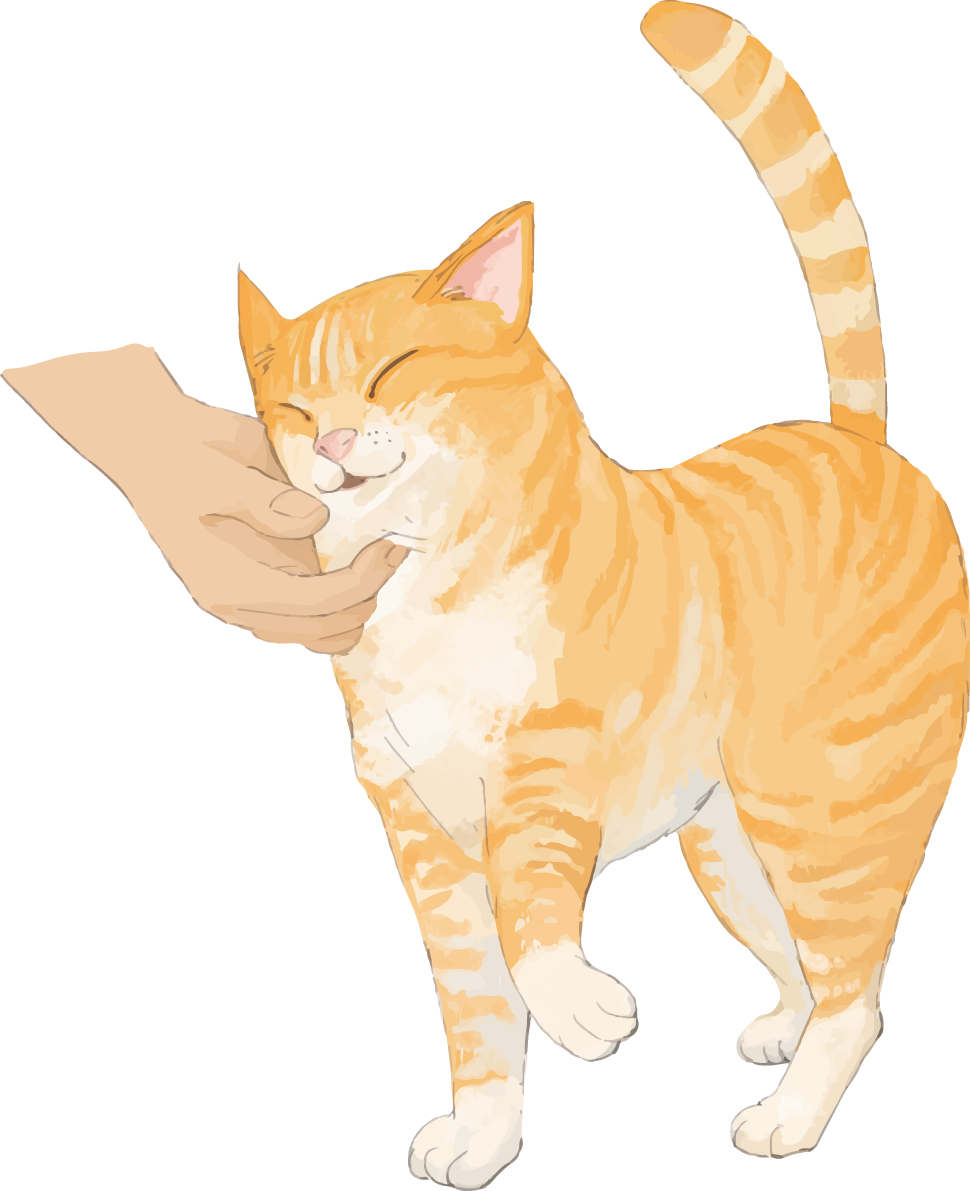 猫(トラ柄の雑種ミックス)頭をスリスリリアル無料イラスト83276に写真・文字を入れる