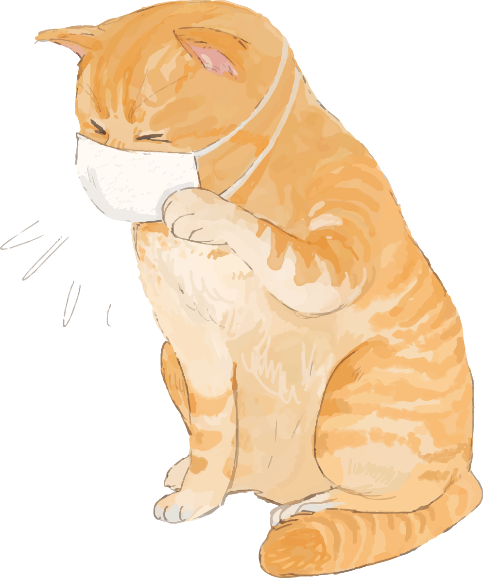 猫(トラ柄の雑種ミックス)風邪で咳き込むマスク姿リアル無料イラスト83277に写真・文字を入れる