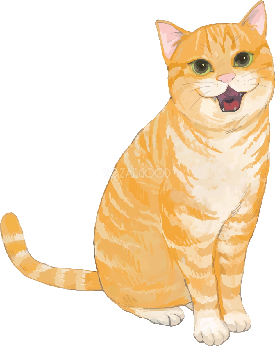 猫(トラ柄の雑種ミックス)『ニャ～』と鳴きながら見つめるリアル無料フリーイラスト83281